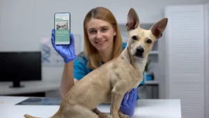 ashgrove vet aberdeen