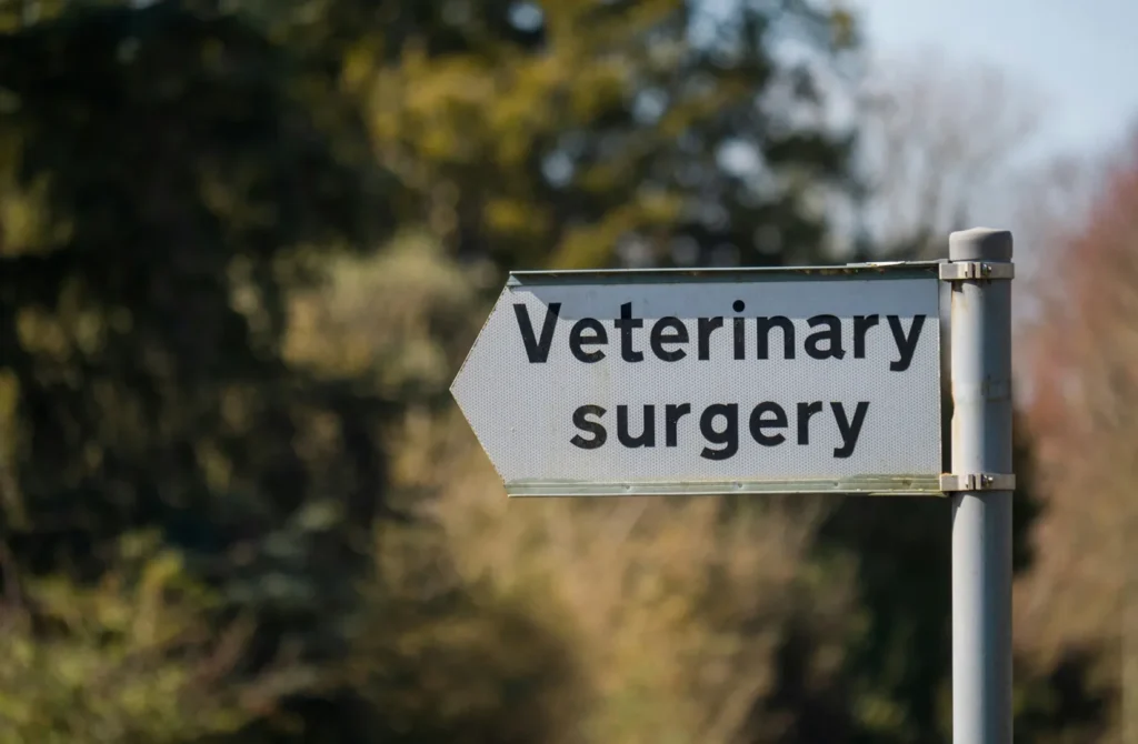 Sign pointing to veterinary surgery