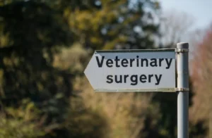 Sign pointing to veterinary surgery