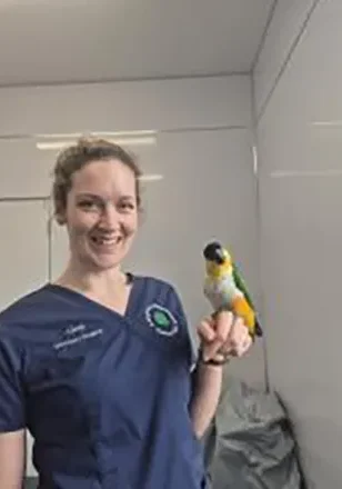 Woman in scrubs holding colorful parrot indoors