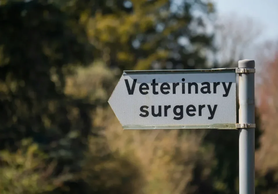Sign pointing to veterinary surgery
