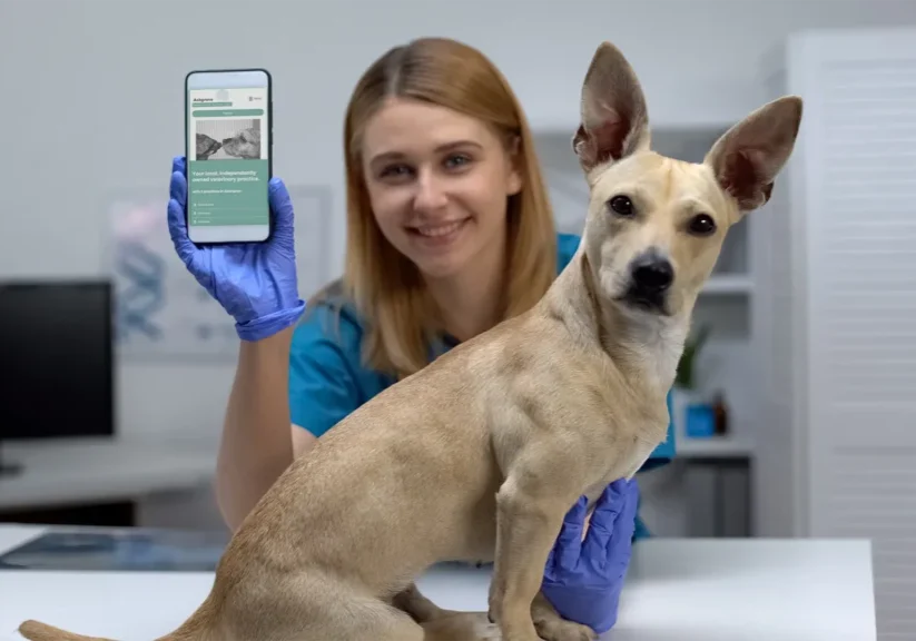 ashgrove vet aberdeen